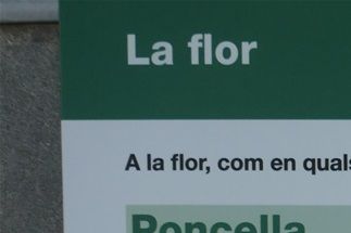 La flor (Partes)