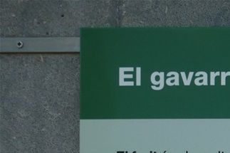 El fruto (La baya)