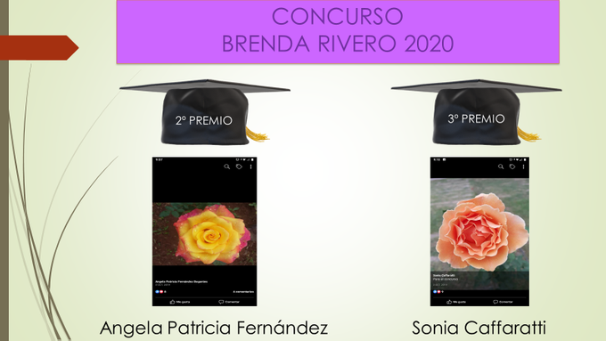 2º y 3º Premio