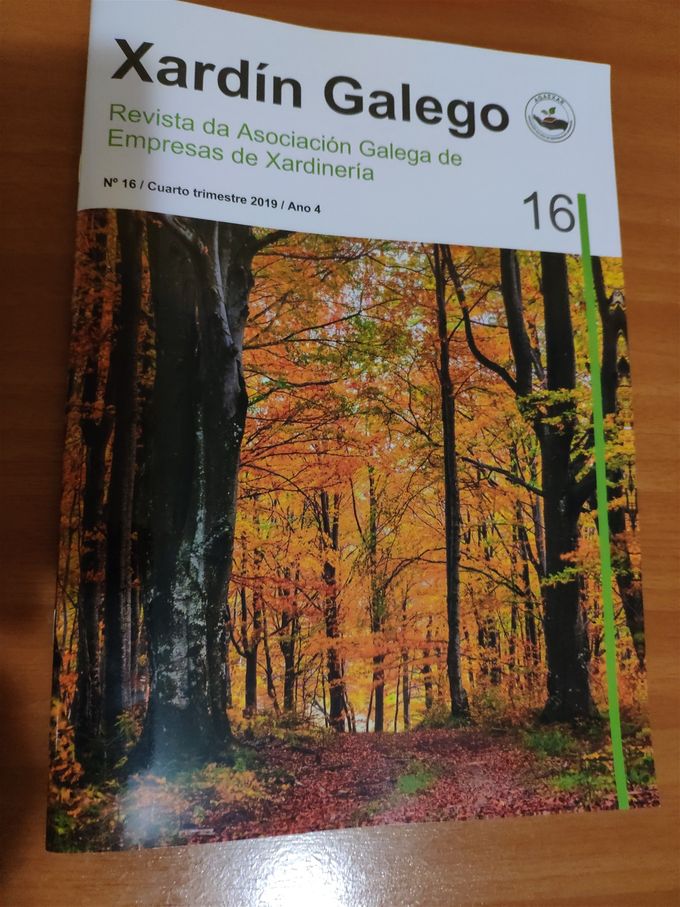 Primer Artículo Publicado